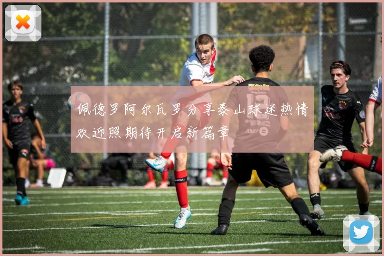 佩德罗阿尔瓦罗分享泰山球迷热情欢迎照期待开启新篇章